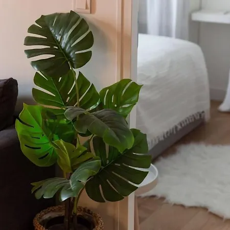 Le Cosy Apartment Saint-Cyr-l'Ecole